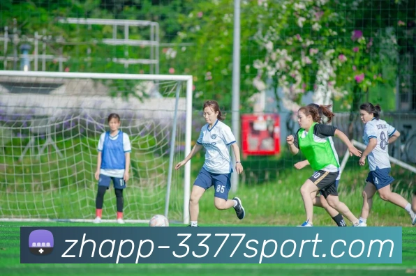 3377体育官网APP 体育赛事宣传图